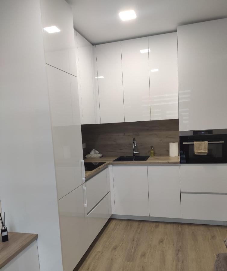 Apartment Ainiai Panevėžys Eksteriør billede